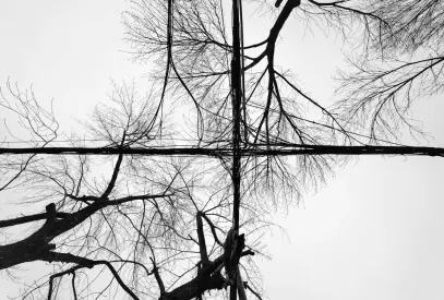 Billion Kazino Mobilioji programa